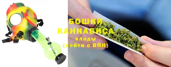 бошки Алексин