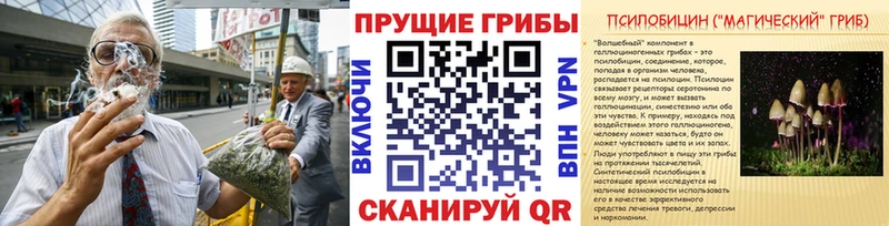 Галлюциногенные грибы Psilocybine cubensis Красноперекопск